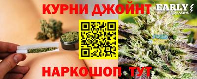 jwh Камышлов