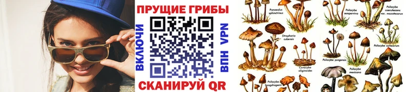 наркота  Лабытнанги  Галлюциногенные грибы прущие грибы 