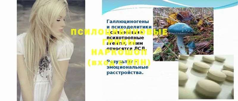 Псилоцибиновые грибы Psilocybine cubensis  Лабытнанги 