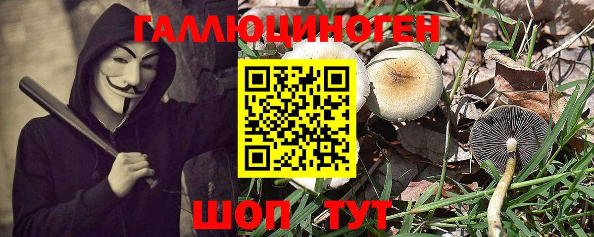 Галлюциногенные грибы Magic Shrooms Лабытнанги